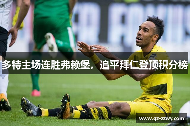 多特主场连胜弗赖堡，追平拜仁登顶积分榜