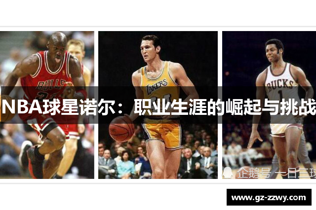 NBA球星诺尔：职业生涯的崛起与挑战