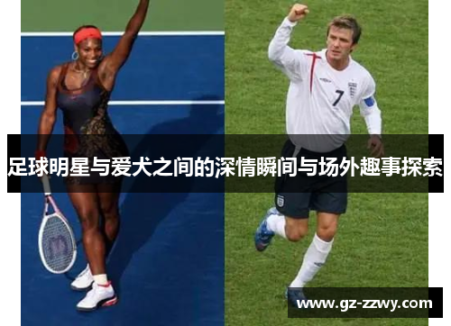 足球明星与爱犬之间的深情瞬间与场外趣事探索